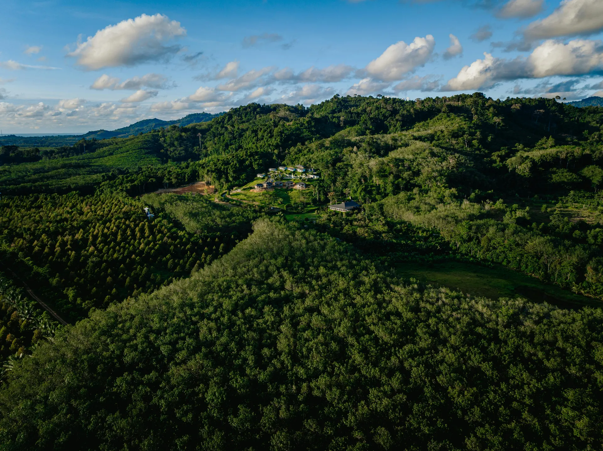 Borneo canopy lodge soft luxury concept